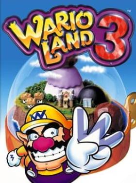 Wario Land 3